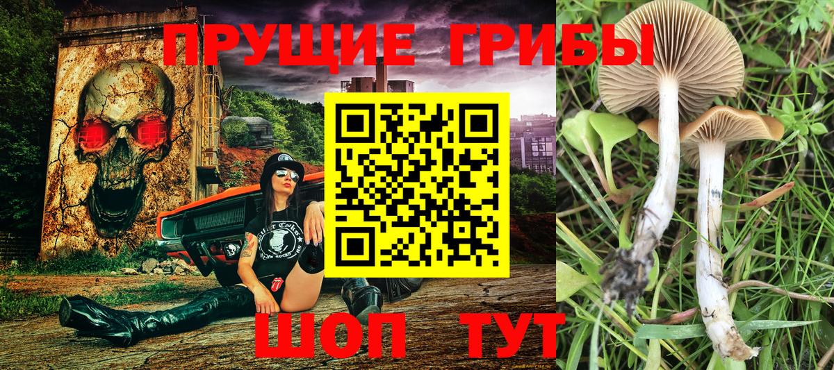 Ржев  Псилоцибиновые грибы MAGIC MUSHROOMS  Галлюциногенные грибы мухоморы  Вход с VPN 